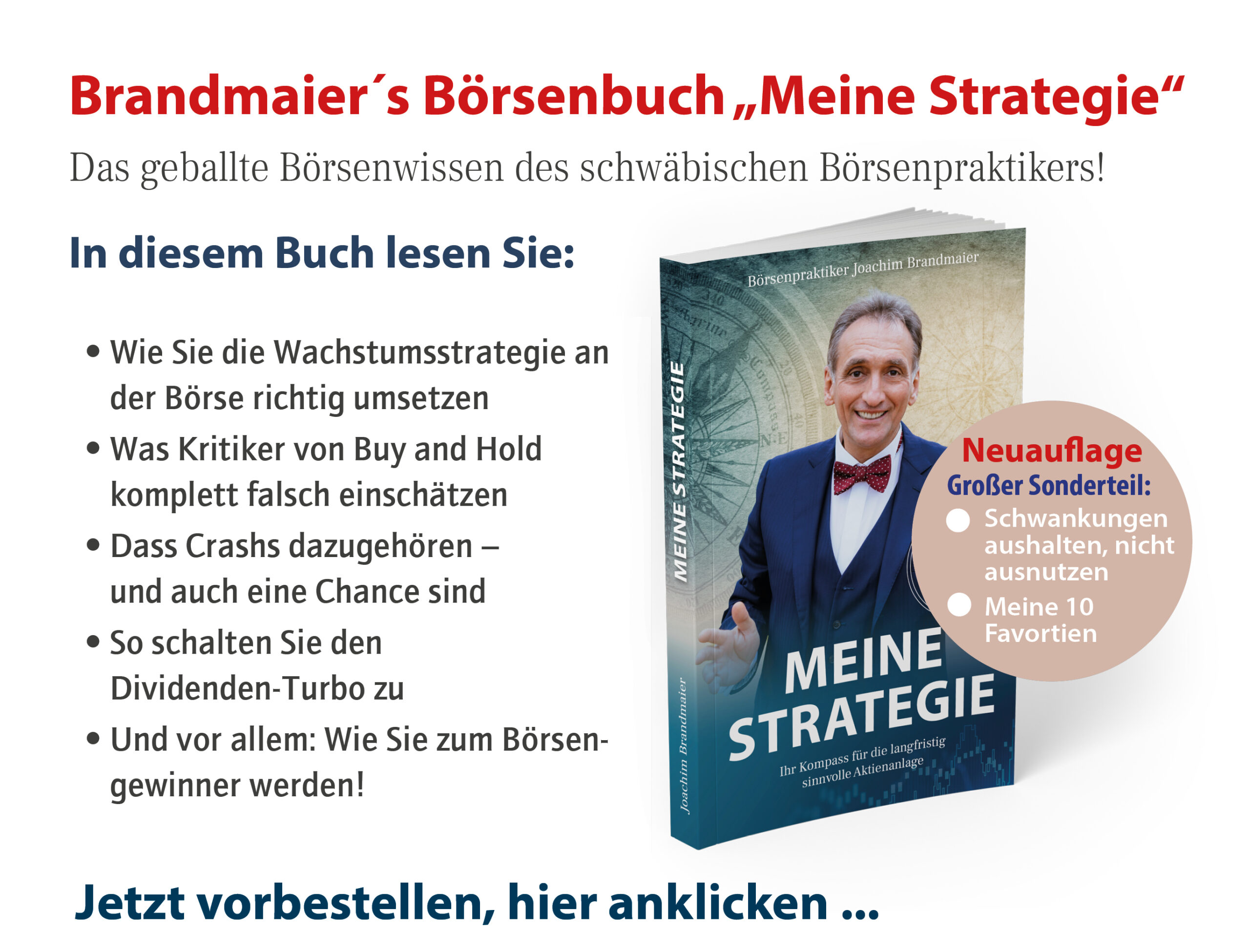 Brandmaiers Börsenbuch "Meine Strategie"